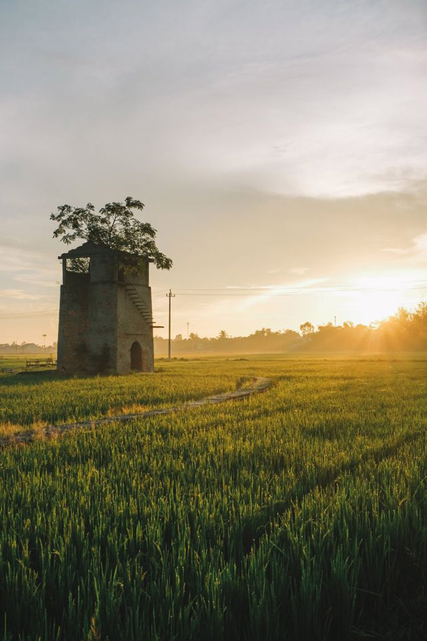 Hội An Bình Yên