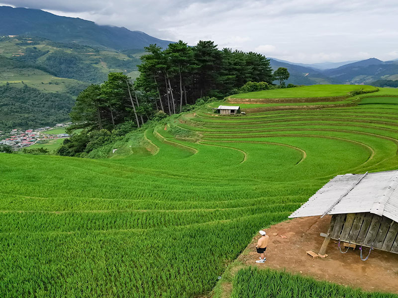 Kinh nghiệm du lịch Mù Cang Chải 2023